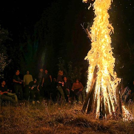 Conacul Bunicilor Ξενοδοχείο Novaci Εξωτερικό φωτογραφία